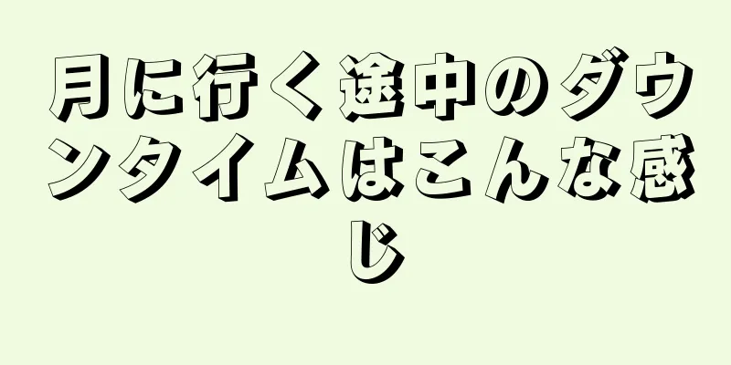 月に行く途中のダウンタイムはこんな感じ