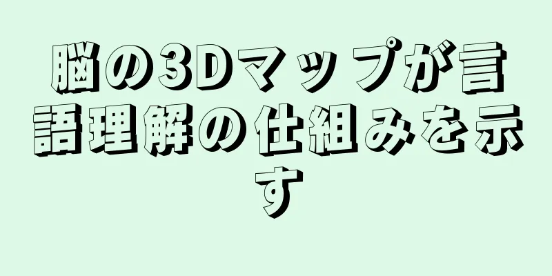 脳の3Dマップが言語理解の仕組みを示す