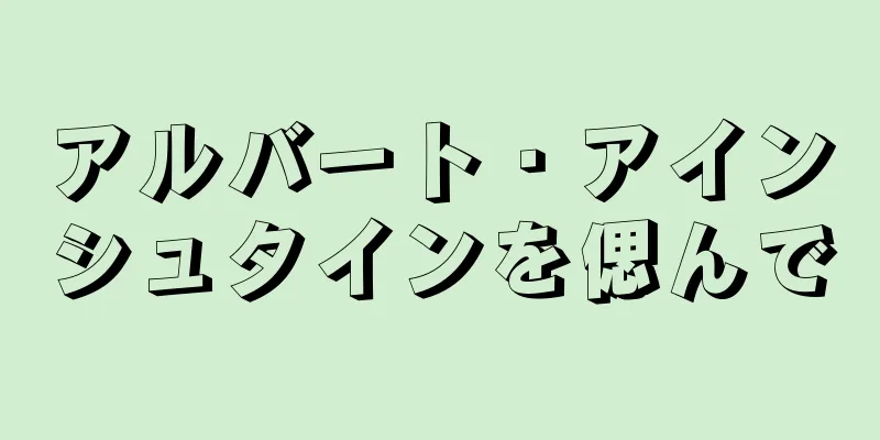 アルバート・アインシュタインを偲んで