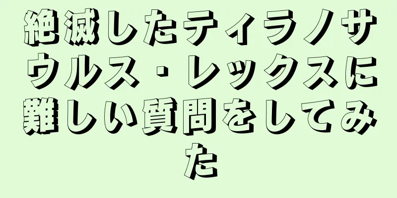 絶滅したティラノサウルス・レックスに難しい質問をしてみた