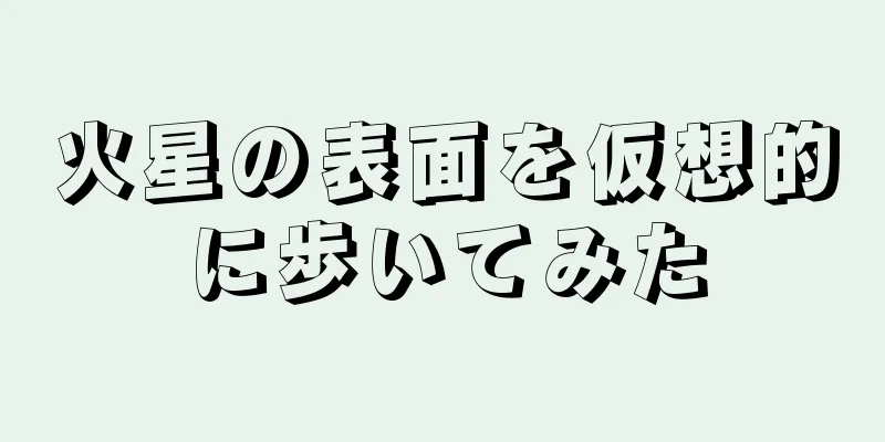 火星の表面を仮想的に歩いてみた