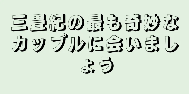 三畳紀の最も奇妙なカップルに会いましょう