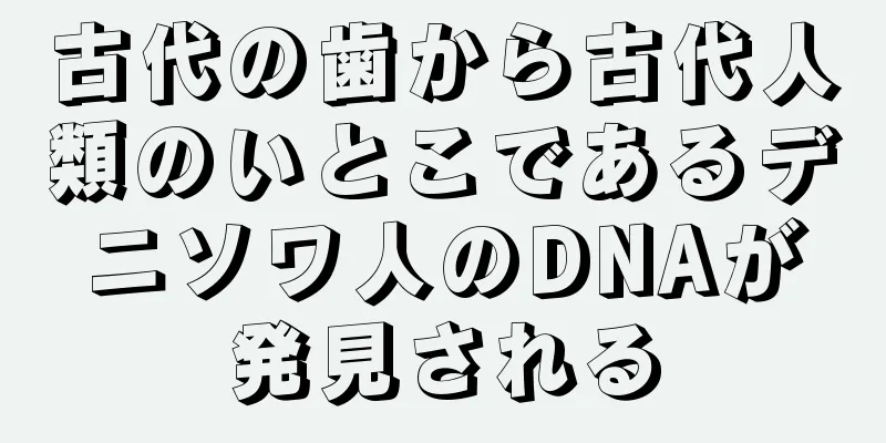 古代の歯から古代人類のいとこであるデニソワ人のDNAが発見される