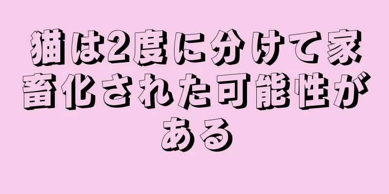 猫は2度に分けて家畜化された可能性がある