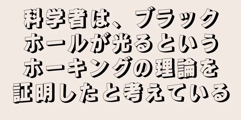 科学者は、ブラックホールが光るというホーキングの理論を証明したと考えている