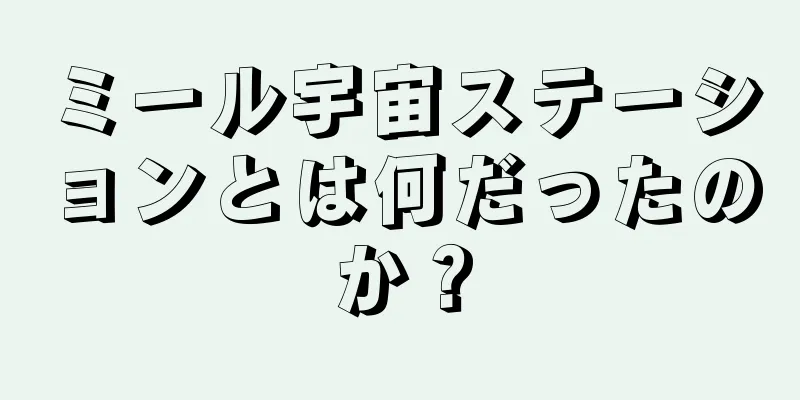 ミール宇宙ステーションとは何だったのか？
