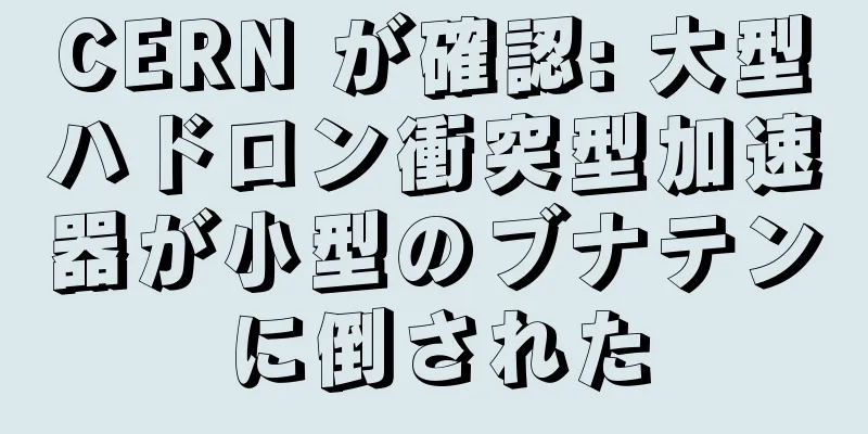 CERN が確認: 大型ハドロン衝突型加速器が小型のブナテンに倒された