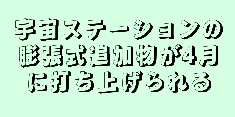 宇宙ステーションの膨張式追加物が4月に打ち上げられる