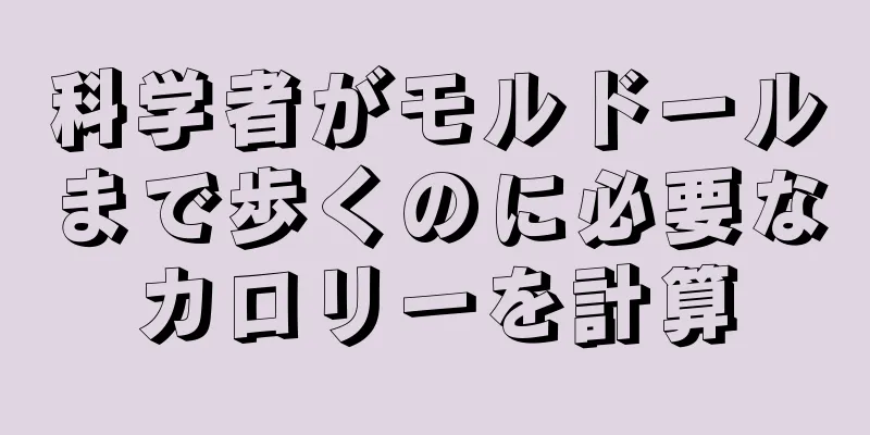 科学者がモルドールまで歩くのに必要なカロリーを計算