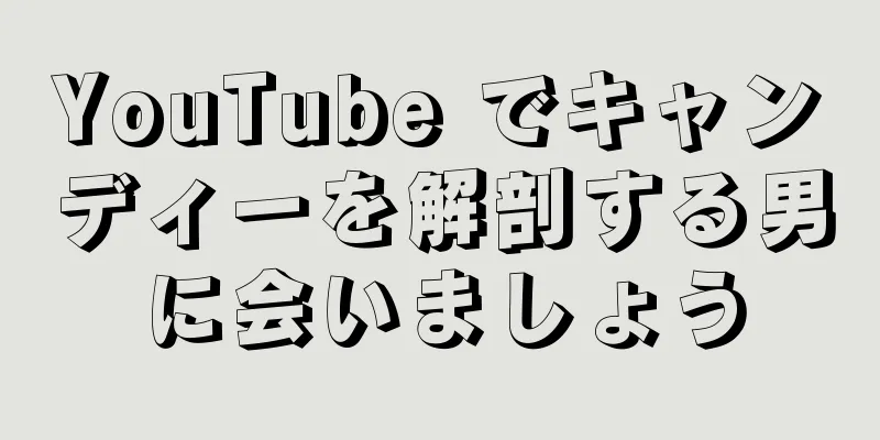 YouTube でキャンディーを解剖する男に会いましょう