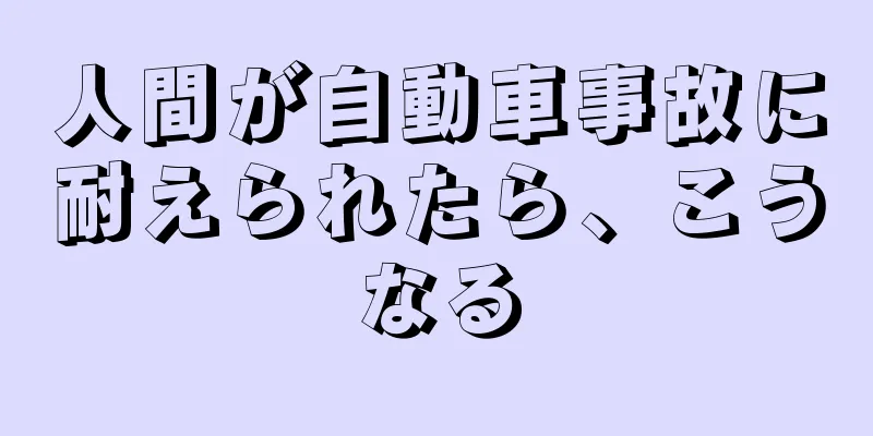 人間が自動車事故に耐えられたら、こうなる