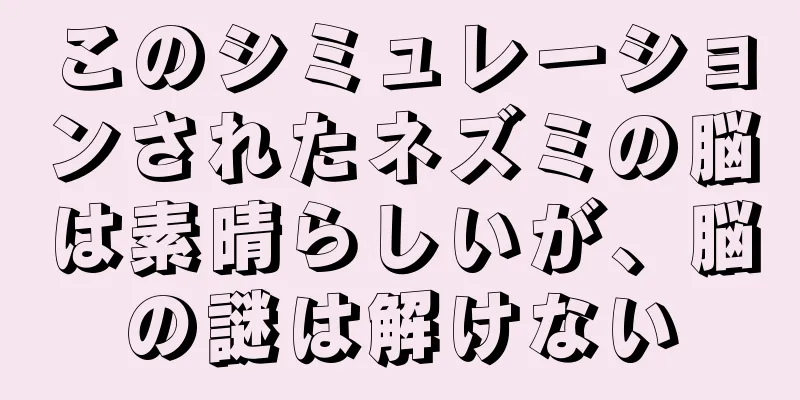 このシミュレーションされたネズミの脳は素晴らしいが、脳の謎は解けない