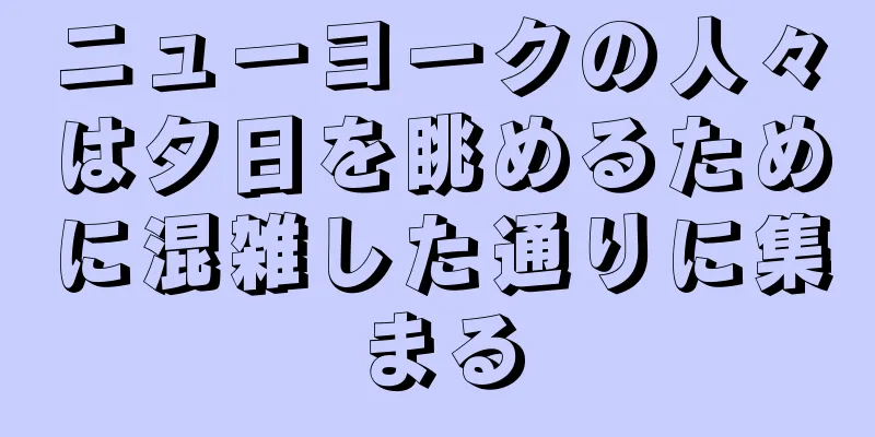 ニューヨークの人々は夕日を眺めるために混雑した通りに集まる