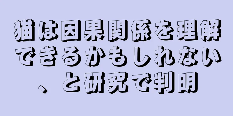 猫は因果関係を理解できるかもしれない、と研究で判明