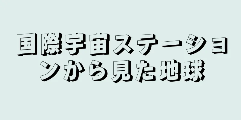 国際宇宙ステーションから見た地球