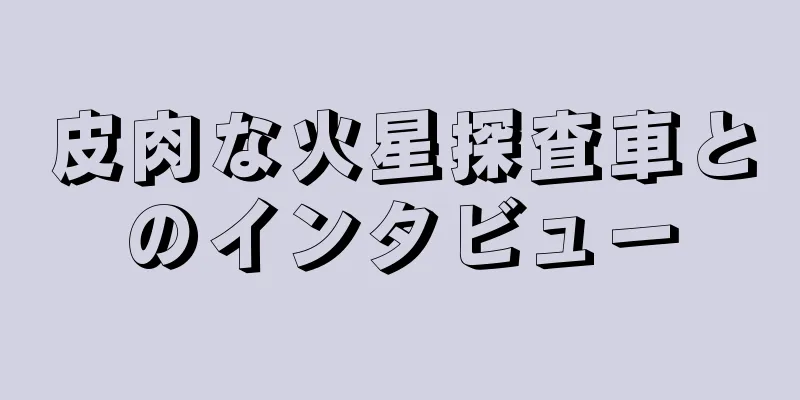 皮肉な火星探査車とのインタビュー