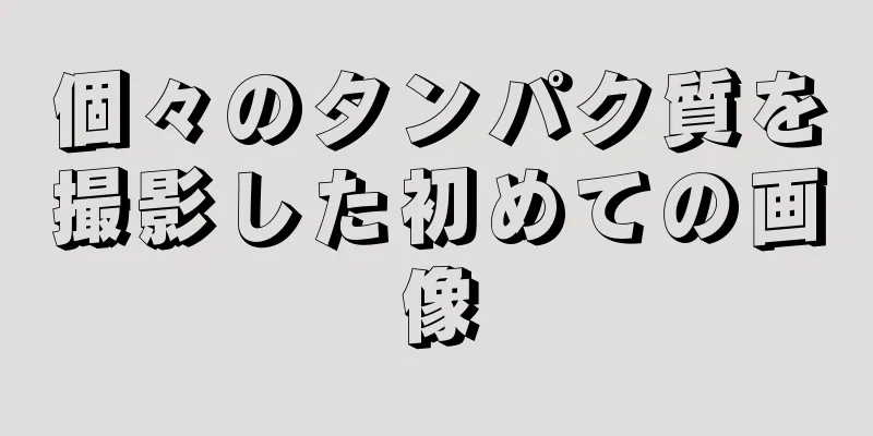 個々のタンパク質を撮影した初めての画像