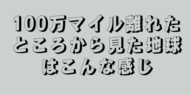 100万マイル離れたところから見た地球はこんな感じ