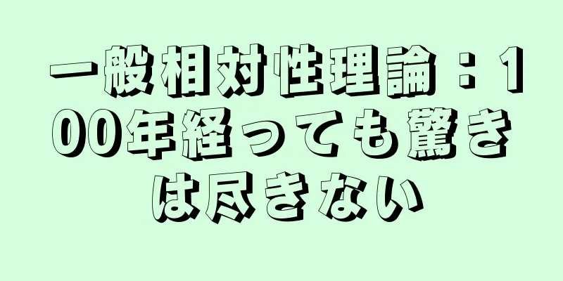 一般相対性理論：100年経っても驚きは尽きない