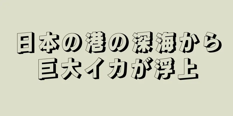 日本の港の深海から巨大イカが浮上