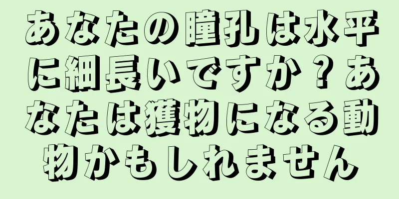 あなたの瞳孔は水平に細長いですか？あなたは獲物になる動物かもしれません