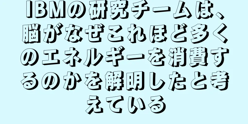 IBMの研究チームは、脳がなぜこれほど多くのエネルギーを消費するのかを解明したと考えている