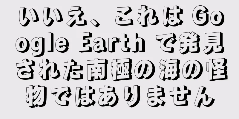 いいえ、これは Google Earth で発見された南極の海の怪物ではありません