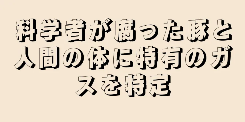 科学者が腐った豚と人間の体に特有のガスを特定