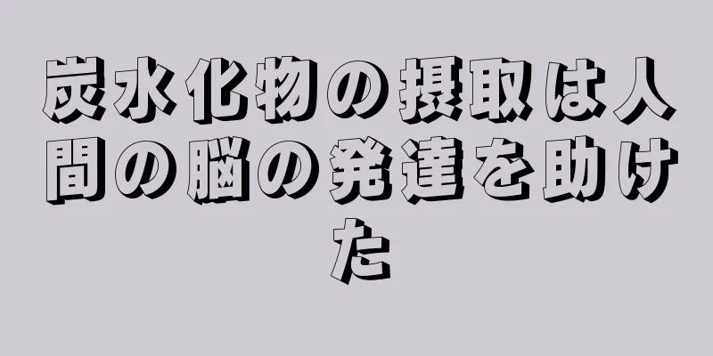 炭水化物の摂取は人間の脳の発達を助けた