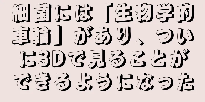 細菌には「生物学的車輪」があり、ついに3Dで見ることができるようになった