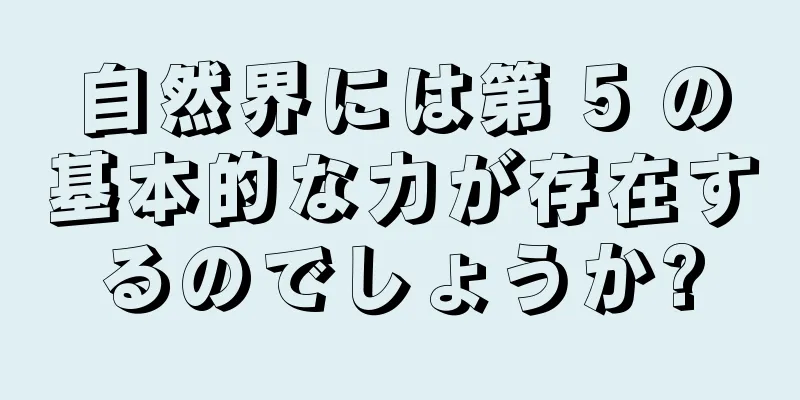 自然界には第 5 の基本的な力が存在するのでしょうか?