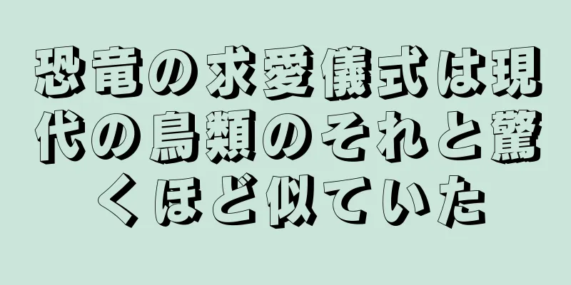 恐竜の求愛儀式は現代の鳥類のそれと驚くほど似ていた