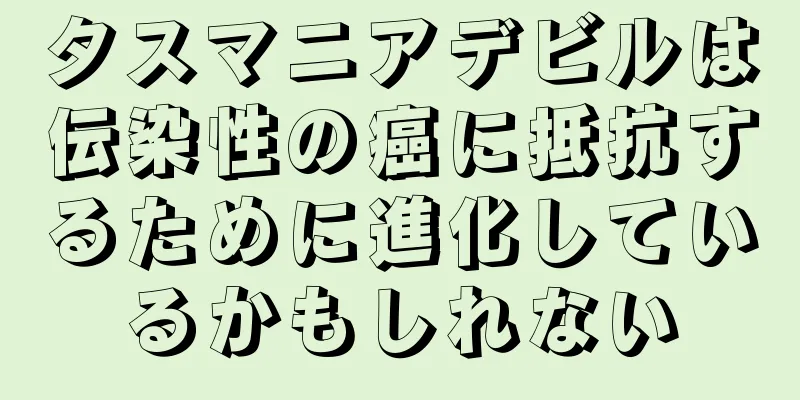 タスマニアデビルは伝染性の癌に抵抗するために進化しているかもしれない