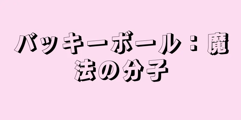 バッキーボール：魔法の分子
