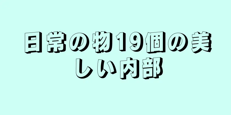日常の物19個の美しい内部