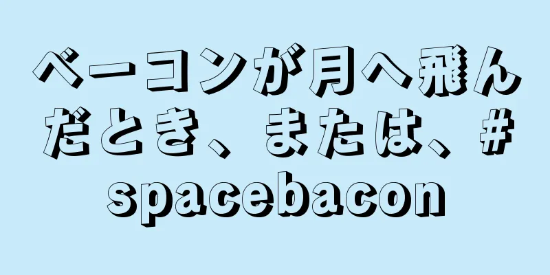 ベーコンが月へ飛んだとき、または、#spacebacon