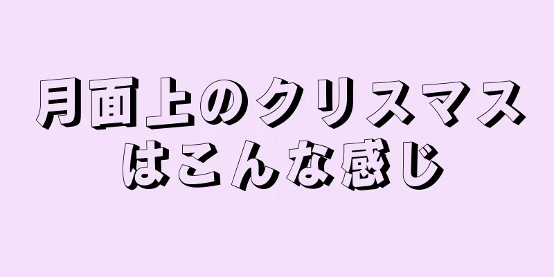 月面上のクリスマスはこんな感じ