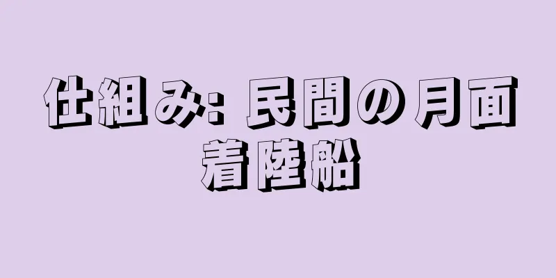 仕組み: 民間の月面着陸船