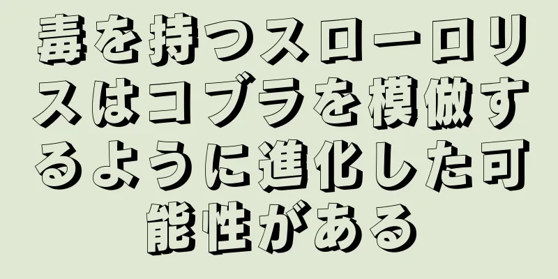 毒を持つスローロリスはコブラを模倣するように進化した可能性がある
