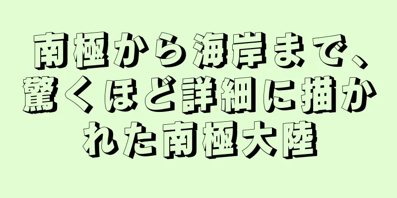 南極から海岸まで、驚くほど詳細に描かれた南極大陸