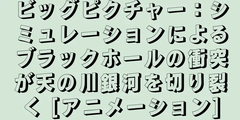 ビッグピクチャー：シミュレーションによるブラックホールの衝突が天の川銀河を切り裂く [アニメーション]