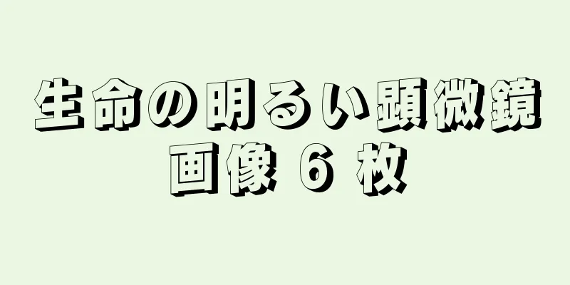 生命の明るい顕微鏡画像 6 枚