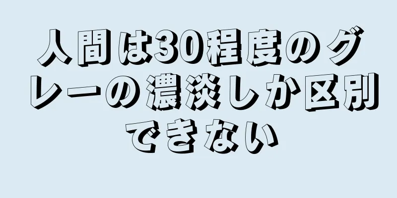 人間は30程度のグレーの濃淡しか区別できない