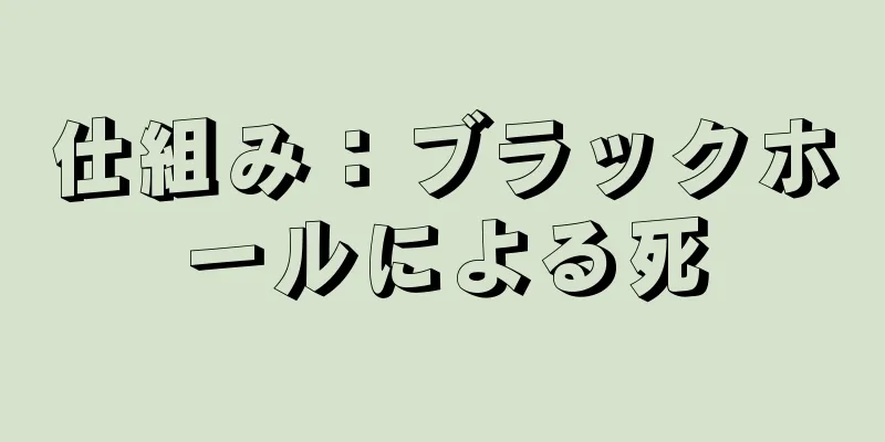 仕組み：ブラックホールによる死