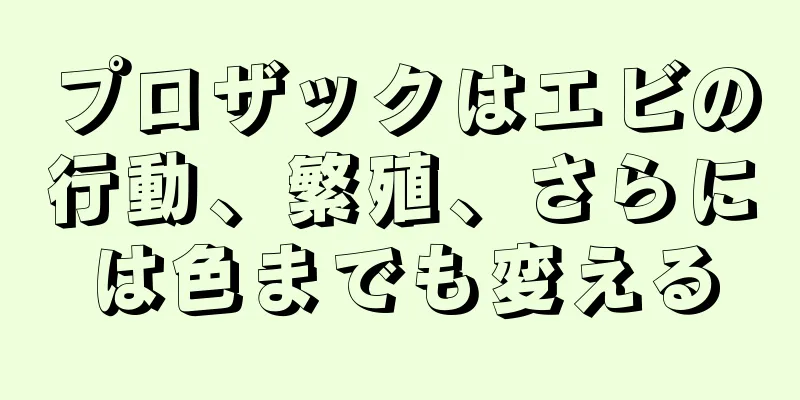プロザックはエビの行動、繁殖、さらには色までも変える