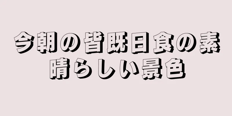 今朝の皆既日食の素晴らしい景色