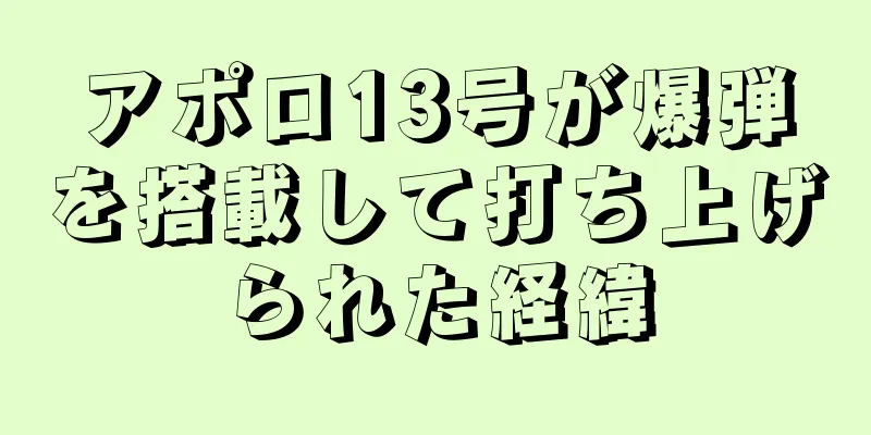 アポロ13号が爆弾を搭載して打ち上げられた経緯