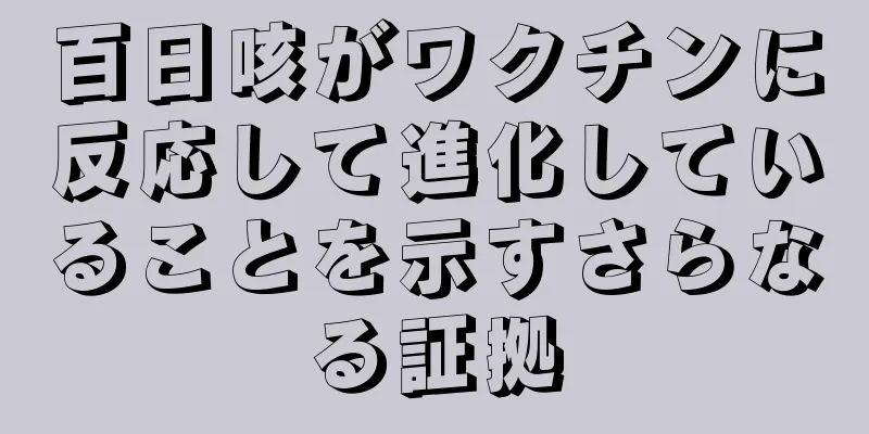百日咳がワクチンに反応して進化していることを示すさらなる証拠