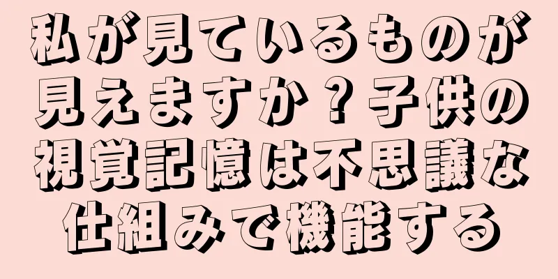 私が見ているものが見えますか？子供の視覚記憶は不思議な仕組みで機能する