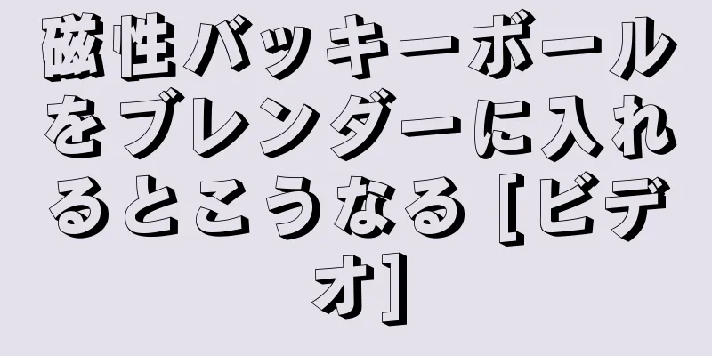 磁性バッキーボールをブレンダーに入れるとこうなる [ビデオ]